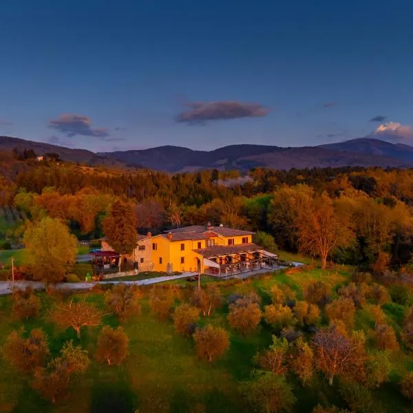 Tenuta Risalpiano, hotel en Londa