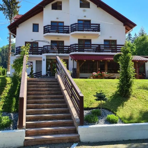 Pensiunea Andias, отель в городе Putnişoara