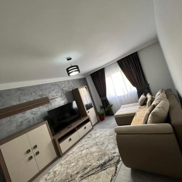 Borșa ApartHotel 4, hotel em Borşa