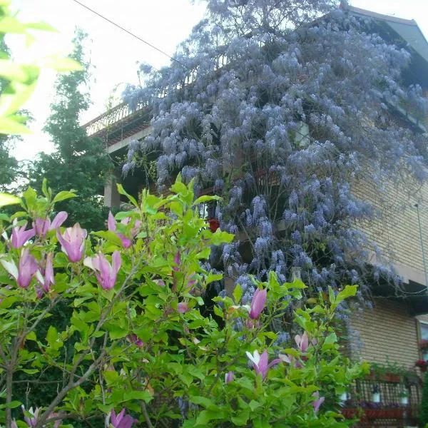 Apartman Wisteria, hotel v destinaci Vranje