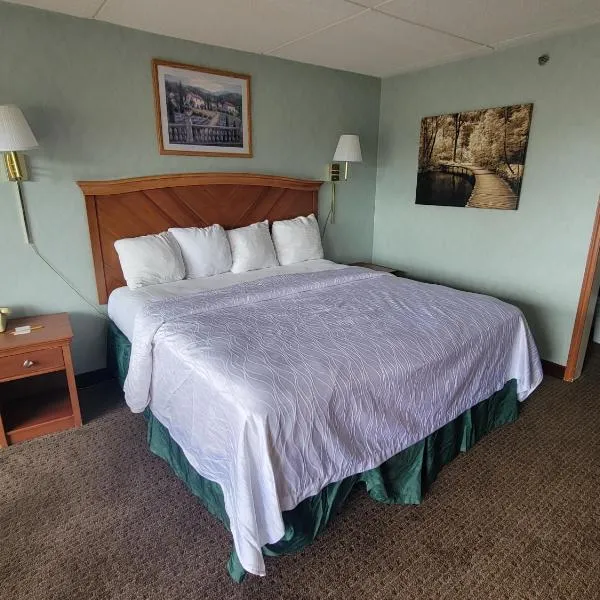 Downtown Inn, hotel in Asheville