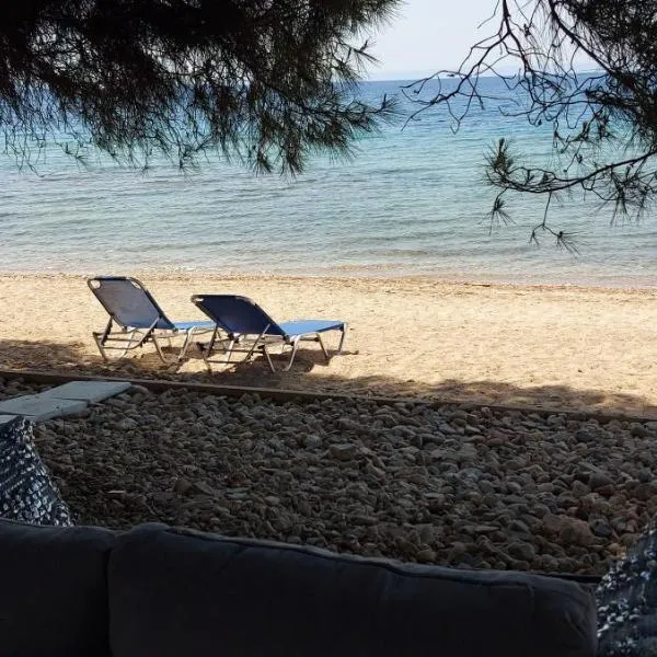 "Pine&Sea" Kastamoniti beach, hotel v destinaci Nikiti