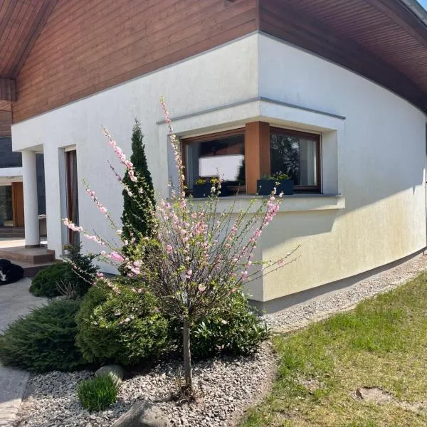 Apartament przy lesie, hotel in Chrzypsko Wielkie