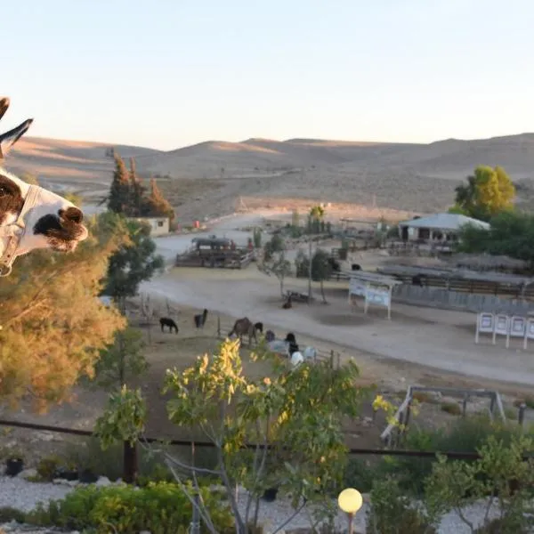 Alpaca Farm - חוות האלפקות, hotel en Mitzpe Ramon