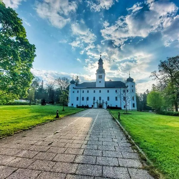 Zámek Třešť, hotel en Vílanec