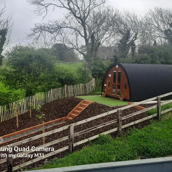 Ivy hill Glamping Pod, hotel v destinaci Ennis