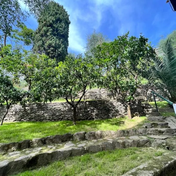 Blue Garden, hotel u gradu Lorsica