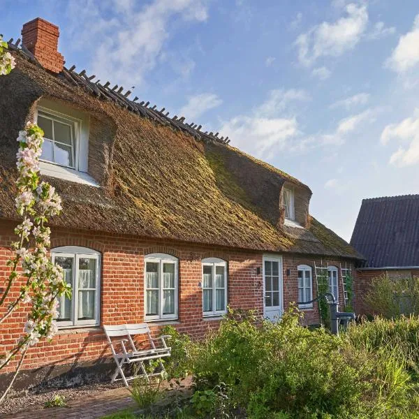 Reetdachhaus De Ole Kaat, hotel in Niesgrau