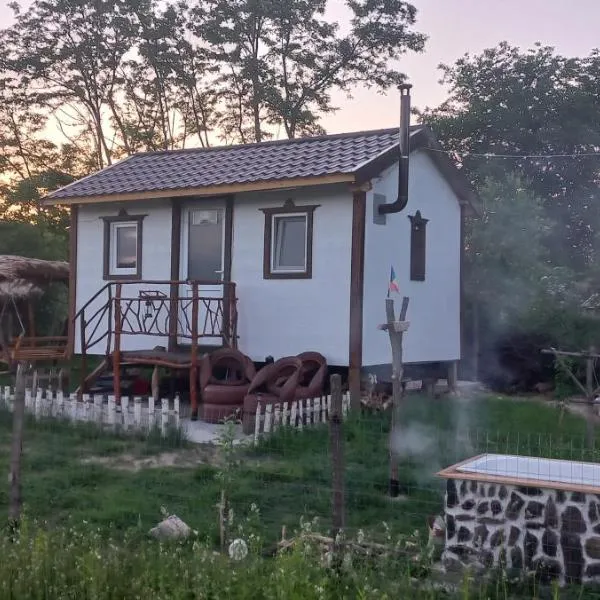 Căsuța Sara- the story of nature, hotel in Plopi