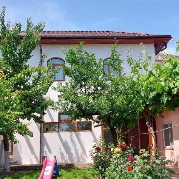 Agropensiunea Olteanu, Hotel in Balabancea