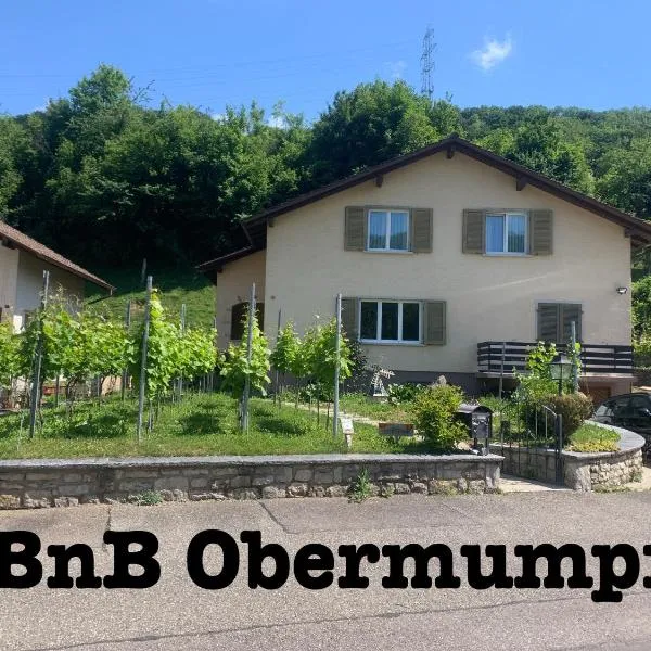 Bed n Breakfast Obermumpf, hôtel à Frick