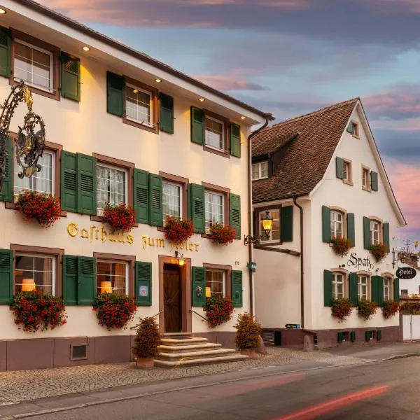 Hotel Adler - Weil am Rhein, hotel v destinaci Weil am Rhein