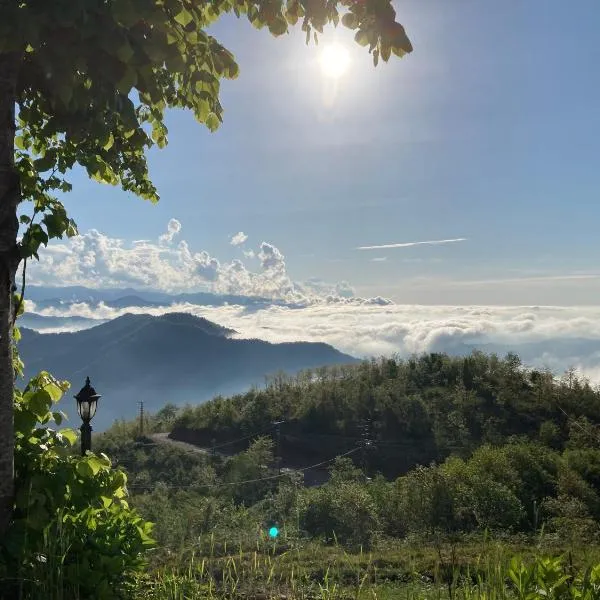 Zarha Mountain Resort, hotel v destinaci Sürmene