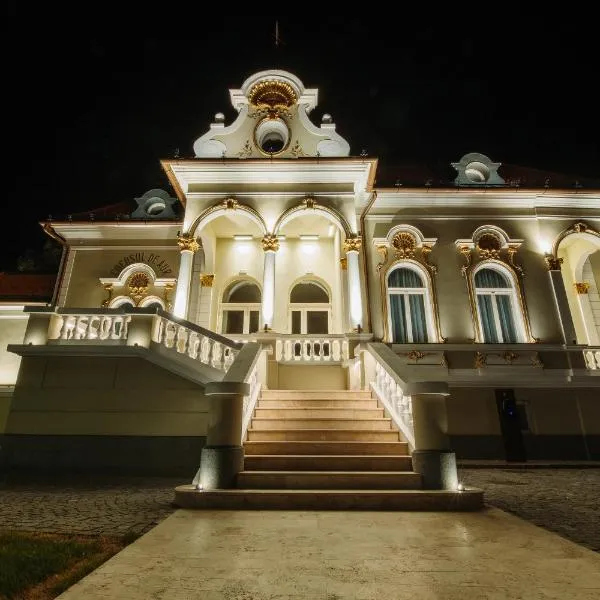 Boutique Hotel Cocosul de Aur, hotel v destinaci Târgu-Mureş