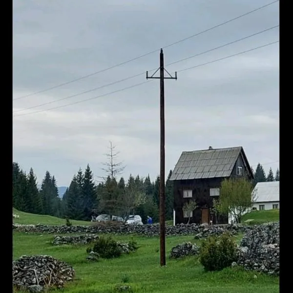Village house Popovic, hotell i Šljuke