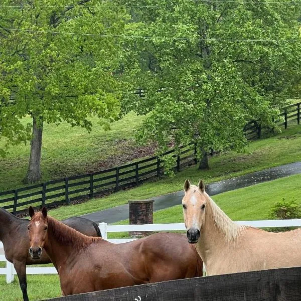 Nicura Ranch Inn & Stables, hotel in Berea