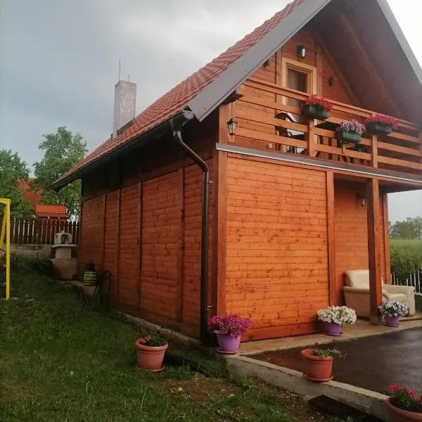Brvnara DAĐ Nikolić, hotel v destinaci Čajetina