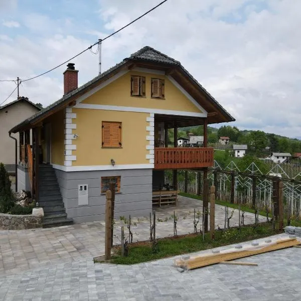 Vineyard Cottage Stepan, hotel in Dragatuš