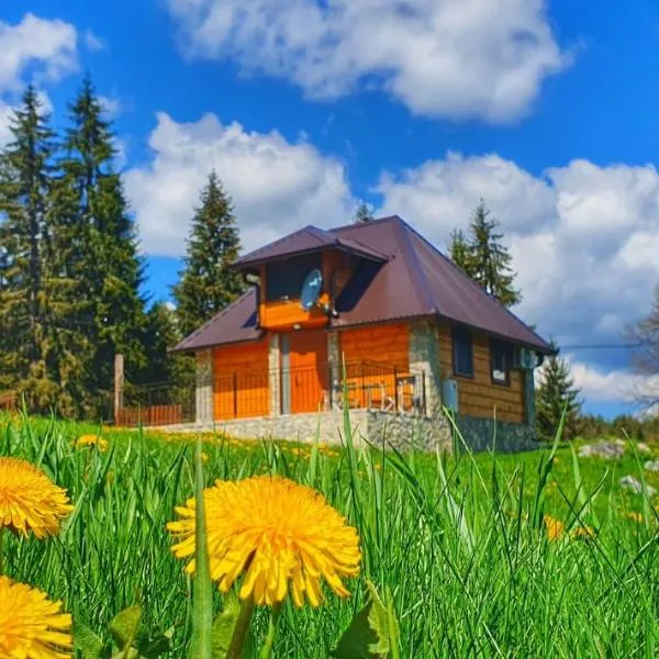 Apartmani Nišićka Oaza, hotel in Olovo