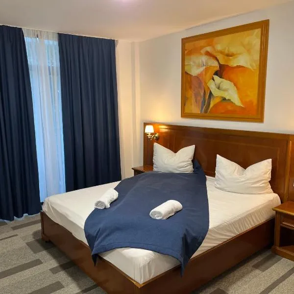 Pensiunea View, hotel en Cluj-Napoca
