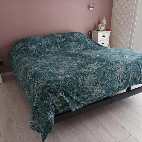 maison d'hotes Dromain, hotel in Le Mans