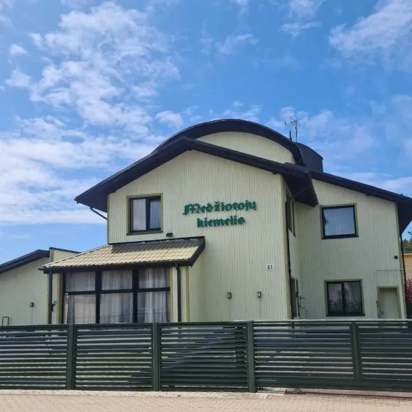 Medziotoju kiemelis, hotel v destinaci Palanga