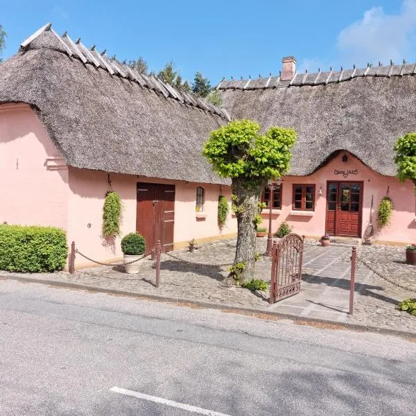 Liebhaveri i særklasse, hotel di Assens