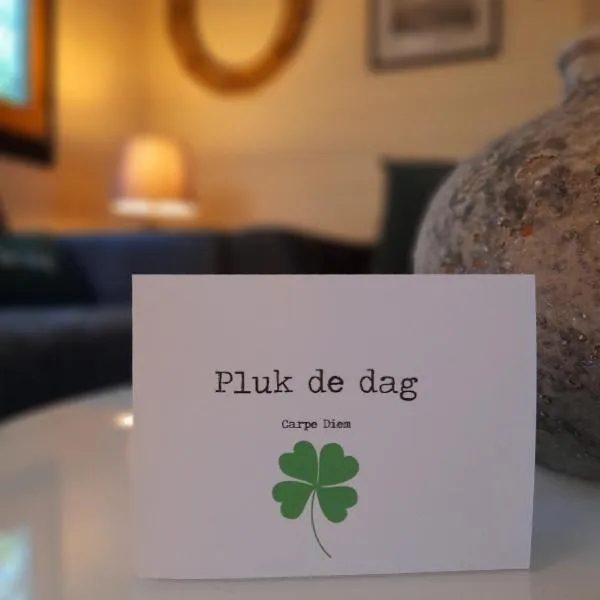 Carpe Diem, het ruime chalet met houtkachel nabij Wildlands Emmen, Hotel in Schoonebeek