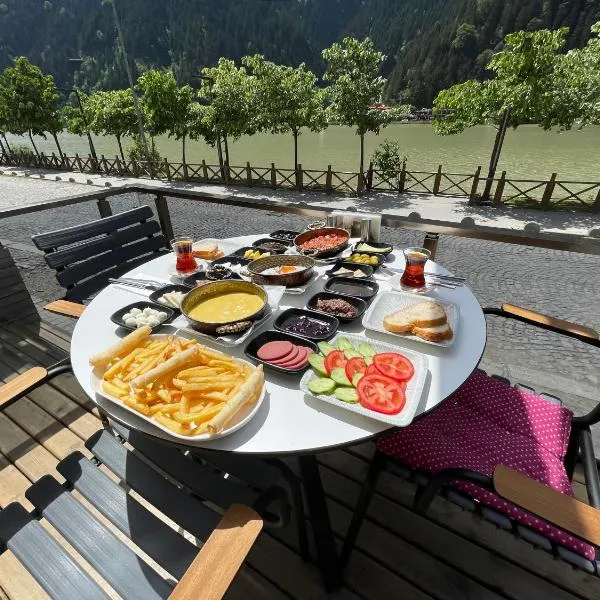 Ozkan Otel, отель в городе Узунгёль