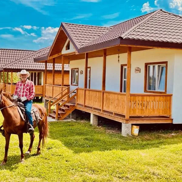 Viesnīca Agapia Agapescu pilsētā Agapija