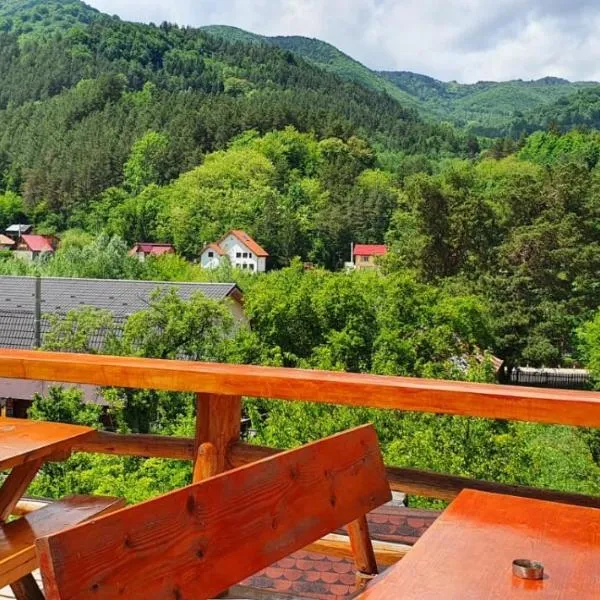 Casa de Vacanta Neagu, hotel v destinaci Gura Teghii