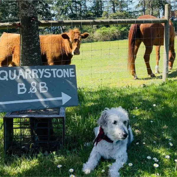 Quarrystone House B&B, hotel in Fernwood