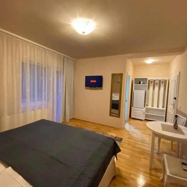 Vila David, hotel v destinaci Băile Unu Mai