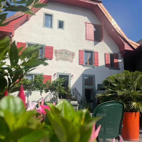 Hotel de la Place, hotel v destinaci Vevey
