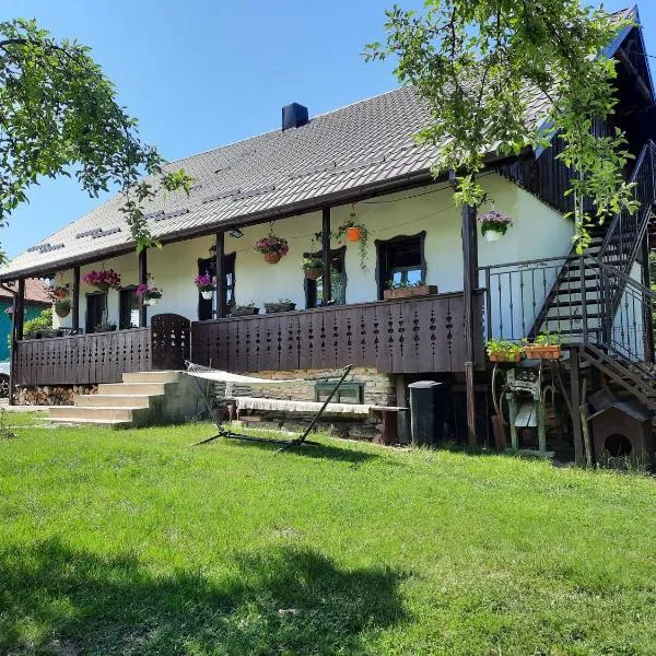 Casa Bunicilor, hotel in Brăeşti