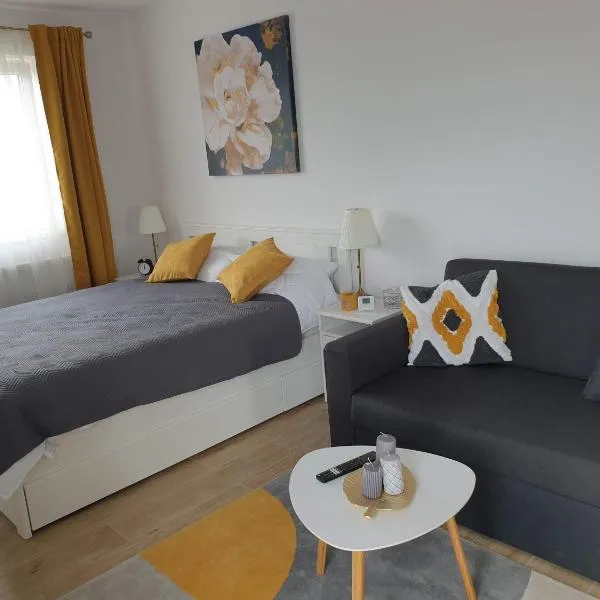 Max Studio, hotel in Sancraiu de Mures