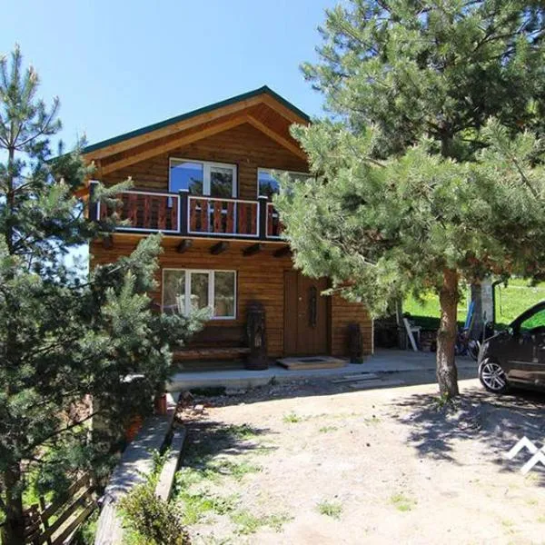 Sova, hotel in Lazeshchyna