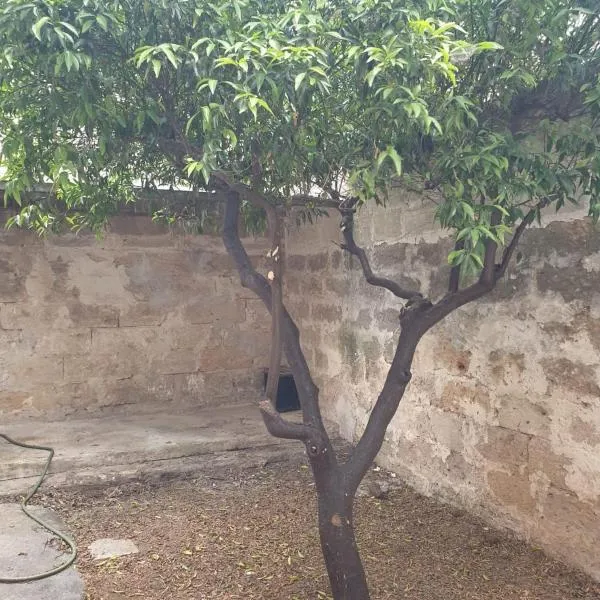 코페르티노에 위치한 호텔 Da Eufemia