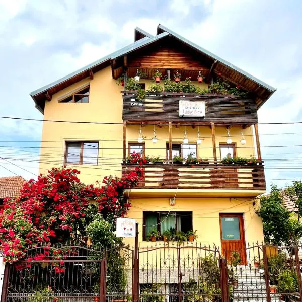 Pensiunea Cristiana, hôtel à Valea Uleiului