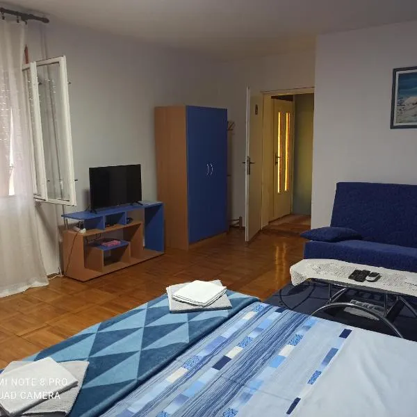 Seosko domaćinstvo Joksimović, hotel di Rgotina