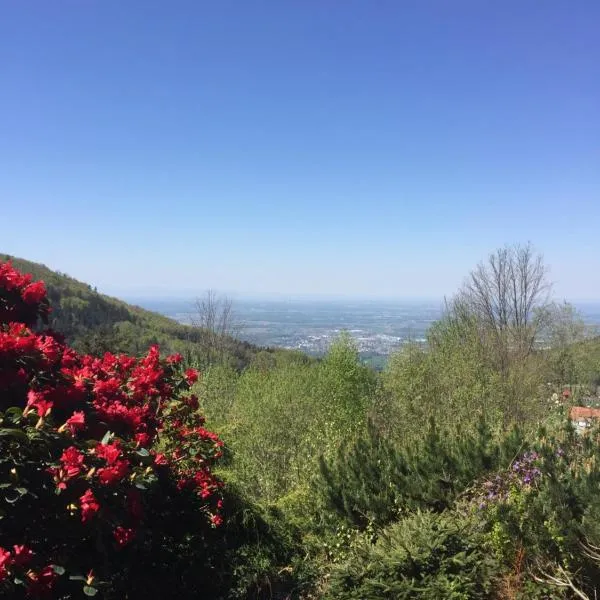 On the hill, hotel in Sasbachwalden