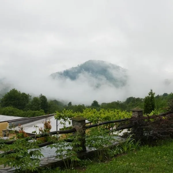 West Wood ApartHotel, hotel in Stavnoye