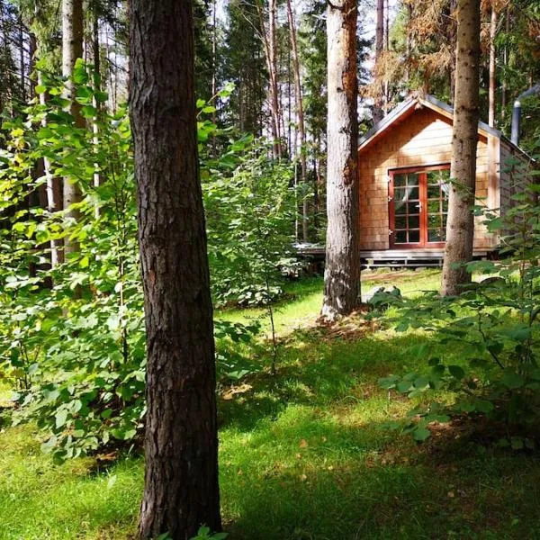 Private cosy forest cabin, hotel in Kaciūniškiai