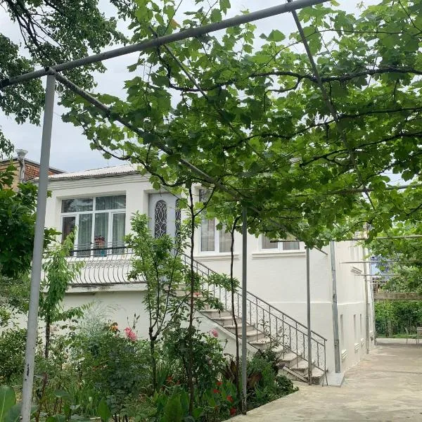 Hostel FORREST, Hotel in Kutaissi