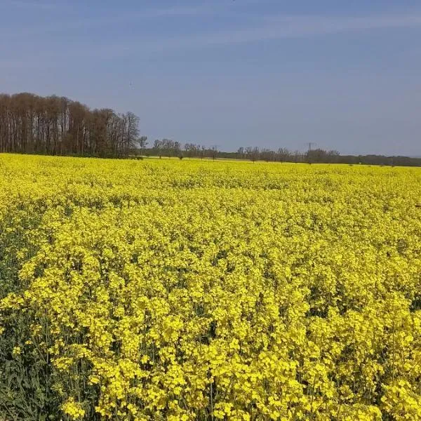 Ferienhof mit Bergblick, hotel a Wurschen