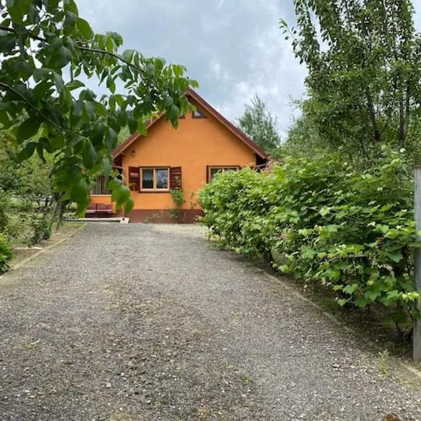 AB’s rustic cabin, hotel v mestu Dejani