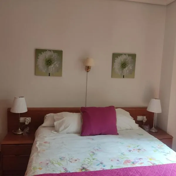 Pension Payvi, hotel in Pamplona