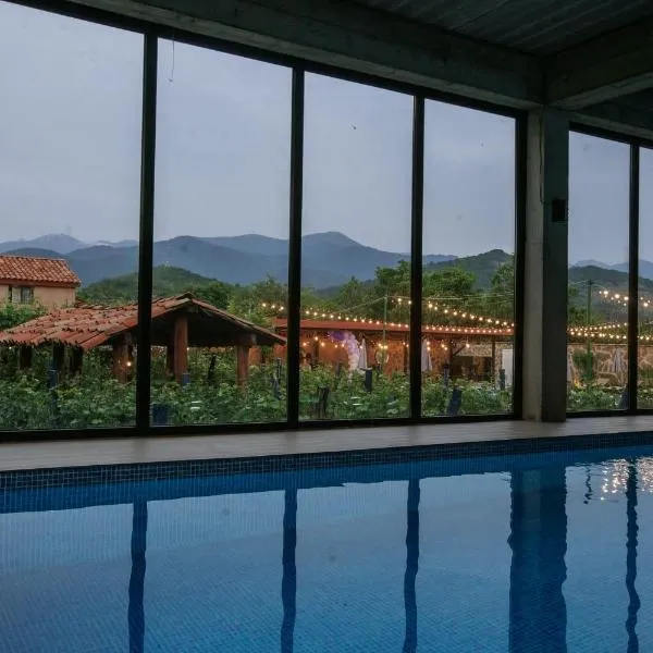 Vineyard Hotel & Winery, ξενοδοχείο στο Napareuli