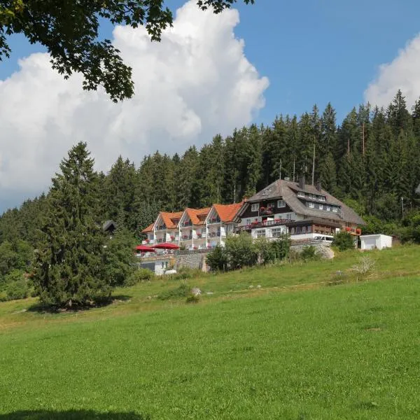 JUFA Hotel Schwarzwald, hotel v destinaci Lenzkirch