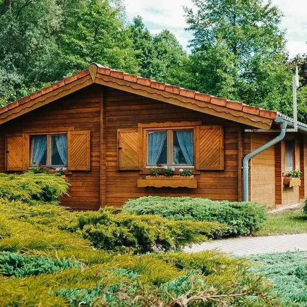 Holzhaus direkt am See, hotell i Priepert